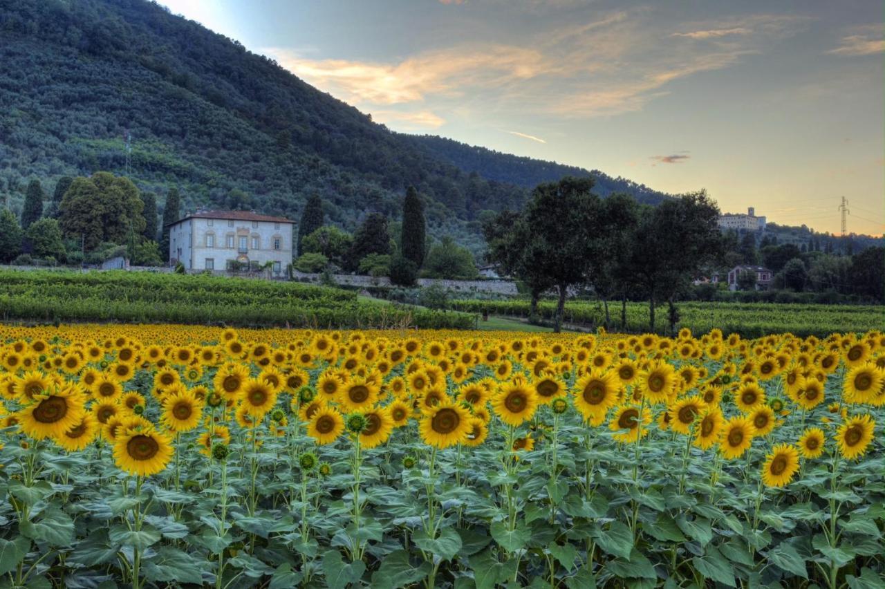 Buonvisi B&B ลุคคา ภายนอก รูปภาพ