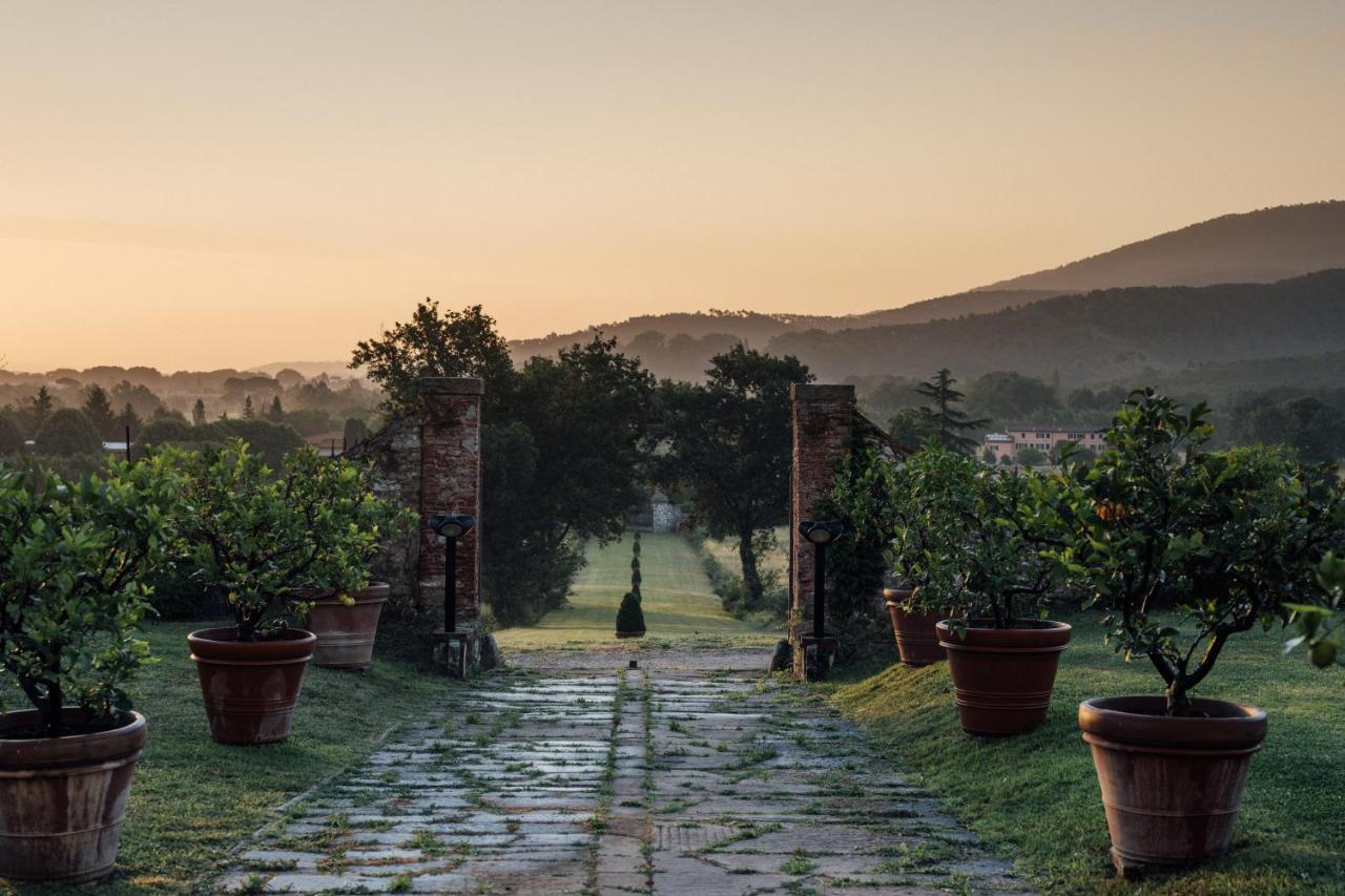 Buonvisi B&B ลุคคา ภายนอก รูปภาพ
